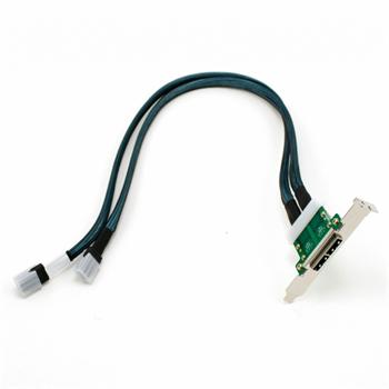 2×SFF-8087 -> 2×SFF-8088 (kabel 66+61cm+LP bracket k E26 backplane)